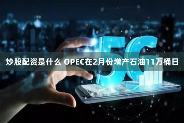 炒股配资是什么 OPEC在2月份增产石油11万桶日