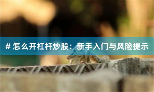 # 怎么开杠杆炒股：新手入门与风险提示