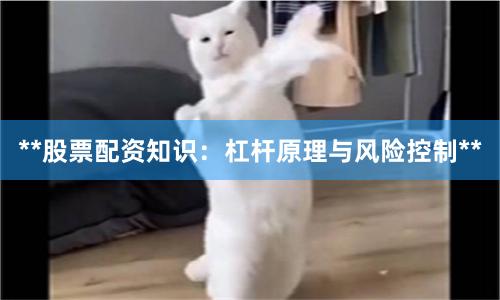 **股票配资知识：杠杆原理与风险控制**