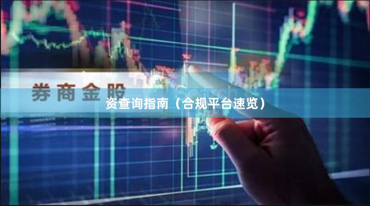 资查询指南（合规平台速览）