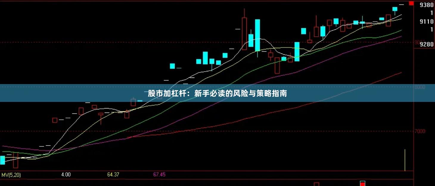 股市加杠杆：新手必读的风险与策略指南